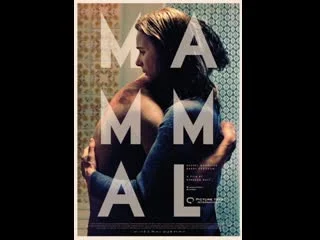 video млекопитающее mammal 2016 ирландия нидерланды люксембург sex