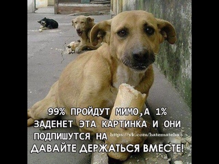 video шок какая то девчушка орет ленин партия комсомол шок она что больная давайте наберем 20 лайкiв чтобы ей помочь sex