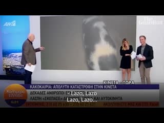 video свинья хочет укусить репортера sex