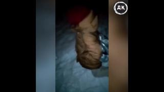 video наказали закладчицу дерзкий квадрат sex