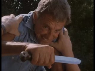 video жестокая справедливость wild justice рой шайдер 1993 vhs перевод юрий сербин sex
