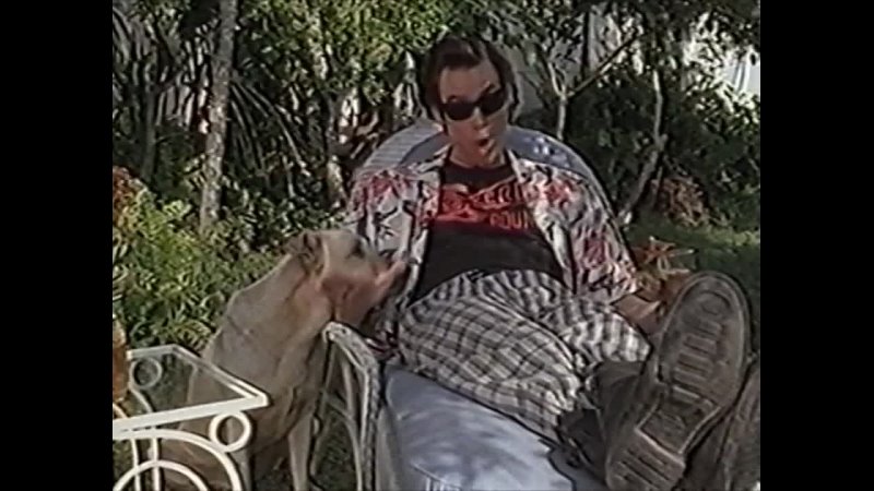 video эйс вентура розыск пропавших зверюшек ace ventura pet detective 1993 vhsrip 2 перевод алексей михалёв sex