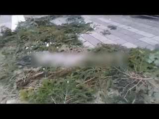 video в германии молодые святое семейство sex