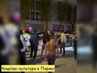 video фестиваль плова в перми sex