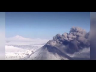 video 爱足美脚社美脚踩踏社区字母圈艾斯爱慕免费视频大全女王踩踏免费视专区提供国内s screen recording 20211115 090701 yandex 1 mp4 sex