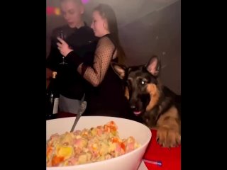 video наглый пёс решил воспользоваться моментом sex