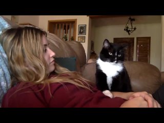 video очень воспитанный любитель ласки sex
