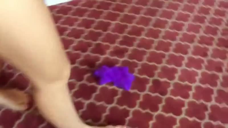 video секс со стройной мамашкой мамки маленькие сиськи русское порно кончина старые с молодыми sex
