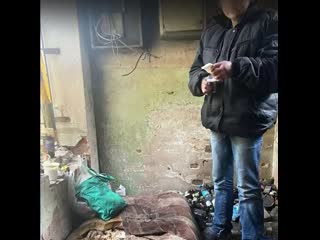 video зоозащитники в иваново случайно наткнулись на новорожденного и его мать в заброшенном доме sex