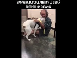 video мужчина воссоединился со своей потерянной молодые sex