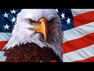video саня во флориде кремниевая долина очередная дичь usa сша санявофлориде саня во флориде sex