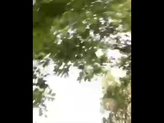 video паша техник разрешите я присяду sex