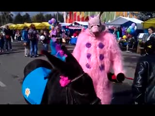 video свиное родео pig rodeo свинья мечтающая оседлать коня pig dream to ride a horse sex
