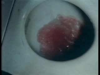 video турецкие наслажденияturks fruit1973 sex porn erotic movies секс порно эротика рудгер хауэр sex