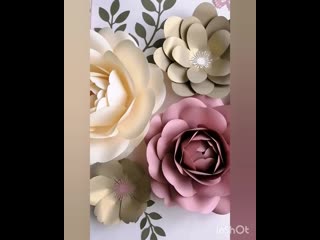 video мое любимое сочетание sex