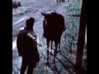 video видео от прикольчики и не только sex
