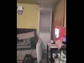 video видео от прикольчики и не только sex