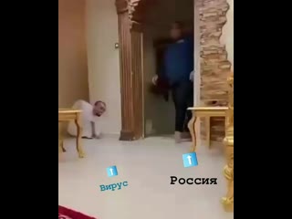 video видео от прикольчики и не только sex