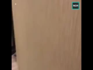 video видео от прикольчики и не только sex