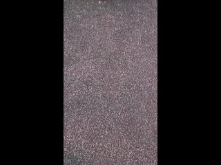 video видео от танцевальная студия one way sex