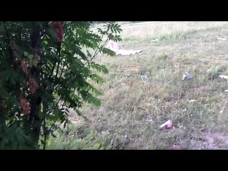 video онанист дрочит член на москвичку нудистку и sex
