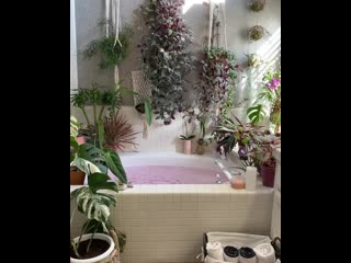 video растения в ванной комнате mp4 sex