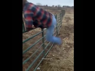 video эта нога сломалась несите другую sex