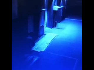 video в приморье мужчина не прошёл фейс контроль в местный ночной клуб обиделся и решил его поджечь оставив покрышку у sex