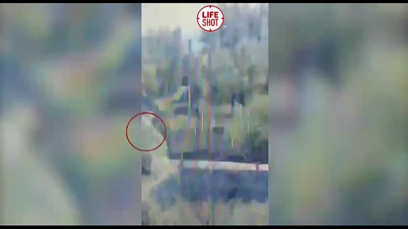 video появилось видео побега осуждённых из психдиспансера в бурятии sex