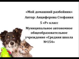 video анциферова стефания домашний разбойник sex
