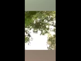 video разрешите я присяду паша техник sex