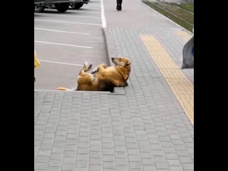 video танцевальная тренироа sex