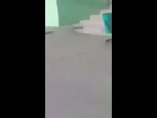 video омон в нижневаторске избивают чеченцев sex