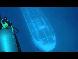 video видео от документальные фильмы bbc nat geo discovery sex