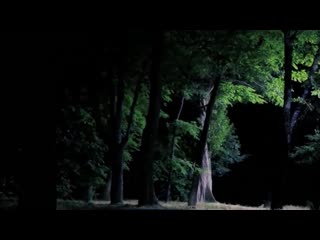 video проклятые места в лесу страшная история sex