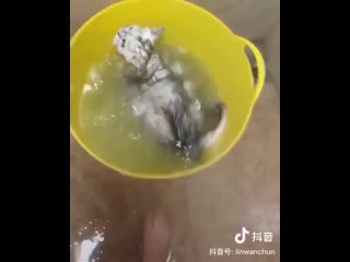 video любитель принимать ванну sex