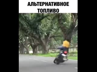 video видео от прикольные видео sex