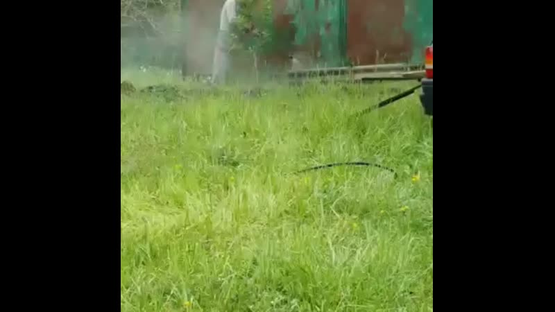 video she vid 20321024 061821 075 mp4 sex