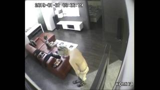 video голая мамка ходит голышом перед молодые сыном mom walk nude in front of young son incest porn sex мать мама мамаша sex