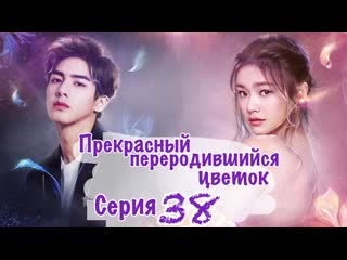 video прекрасный переродившийся цветок beautiful reborn flower 3850 озвучка hmp sex