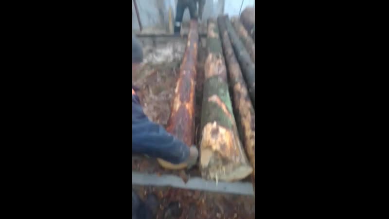video abhinandan vid 20200304 091720 mp4 sex