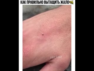 video полезная информация mp4 sex