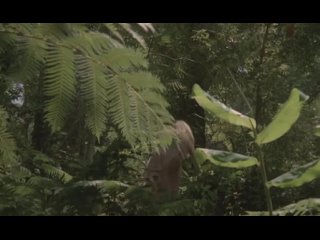 video урсула бучфеллнер в фильме дьявольский охотник драмаужасытриллериспания1980 sex