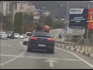 video неизвестные с московскими номерами устроили пальбу на трассе на кубани sex