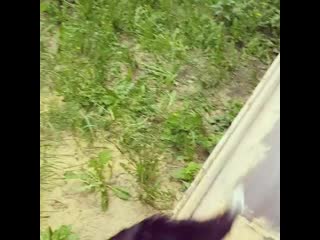 video 每天一起夜跑的天菜跑友竟然主動蹲下吹我充滿汗味的肉棒 vid 110251025 030948 790 mp4 sex