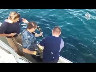 video как в севастополе ищут пропавшую студентку sex