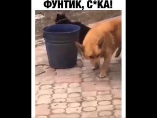 video пьянь рвань дрань sex