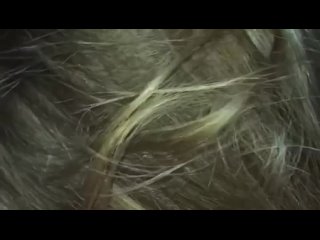 video пьяненькая сосет как надо sex