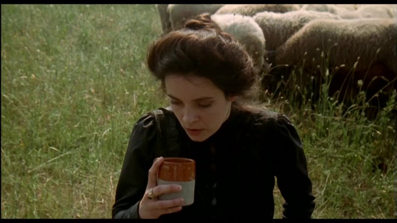 video флореаль пора цветения фиориль пора цветения фиориль дикий цветок fiorile 1993 hq sex