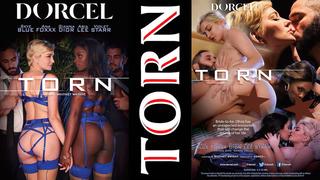 video gianna dior violet starr skye blue ana foxxx aria lee hd sex